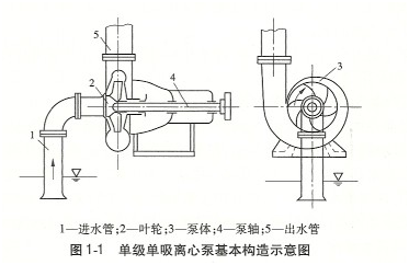 大東海泵業單級離心泵構造示意圖