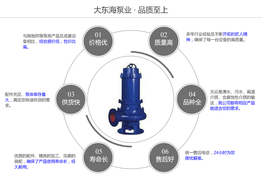 大東海泵業潛水式排污泵質量保證圖